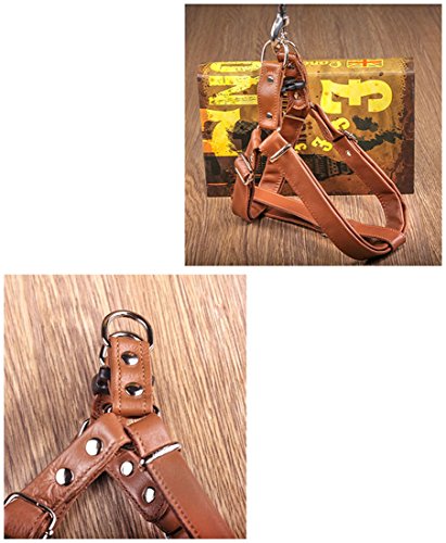Hundegeschirr Leder Softgeschirr Verstellbare Brustgeschirre Norweger Haustier Ledergeschirr Weichem für Kleine Mittlere Große Hunde (L, braun)