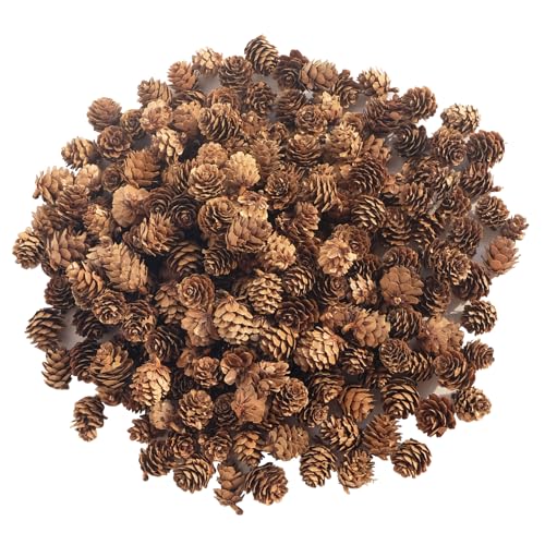 200 pcs Mini Weihnachten Tannenzapfen Natürliche Kiefernzapfen...
