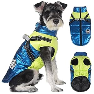 RosyFate Dog Coat Winter, Warm Clothing, Puppy Jacket, Vest Dog, Dog Coat Rainproof Windproof, Dog Coat for Small and Medium Dogs (L)