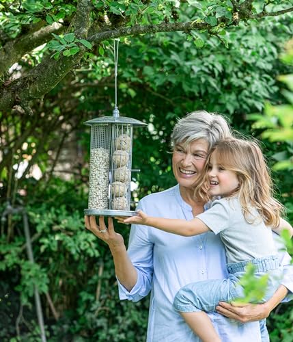 Dehner Natura Premium Nourriture pour Oiseaux Sauvages, Boules de Graisse, sans Filet, 30 pièces de 90 grammes (2,7 kg) – Image 5