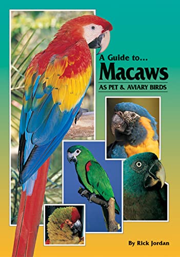 A Guide to Macaws as Pet and Aviary Birds