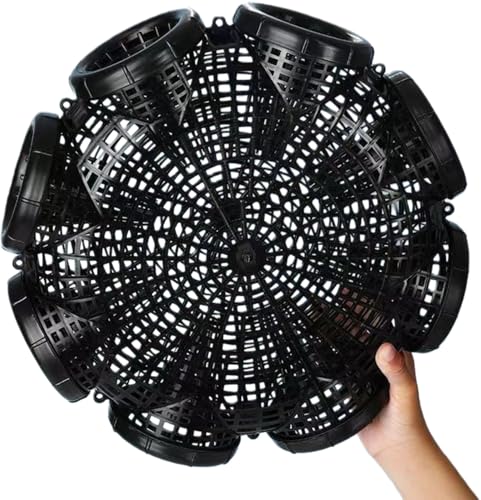 Borine JjJS EiM 6 8EiMP[WȂ ߊl   ނGT ppf ϋv a e y g₷ gѕ֗ ėp\ Ȃ   Jj hWE UKj Gr AEghA O (8 2