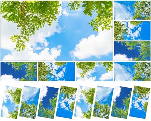 8 Pcs Fluorescent Light Covers with 80 Magnets Decorative for Classroom Ceiling Light 4 x 2 Feet Magnetic Light Covers Filter Easy Install for Office Hospitals & Home Drop Ceiling Supplies(Cloud Sky )