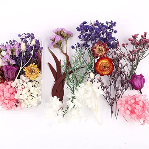 4 cajas de flores secas decorativas en resina para manualidades miniatura 7