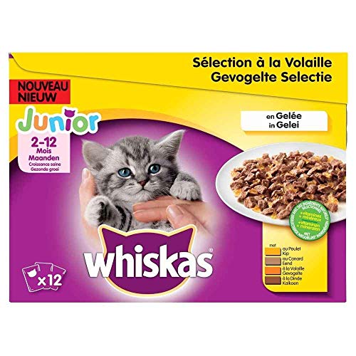 Whiskas Junior Nassfutter Die 16 besten Produkte im Vergleich