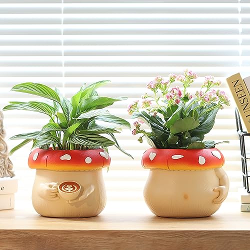 Macetas, Home Imagen adicional