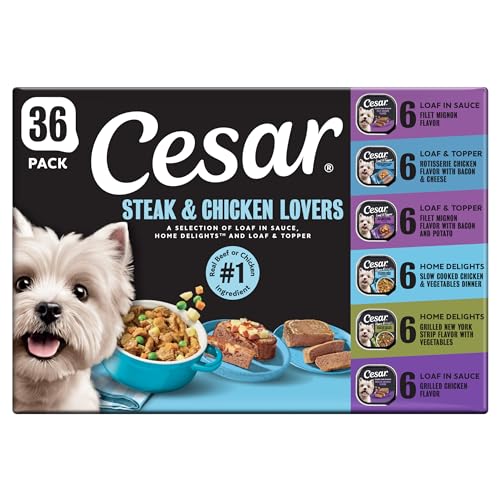 Cesar Wet Dog Food Steak and Chicken Lovers Variety Pack with Real Beef or Real Chicken, 3.5 oz...