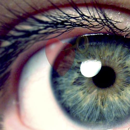 Episode 256: A Key to See