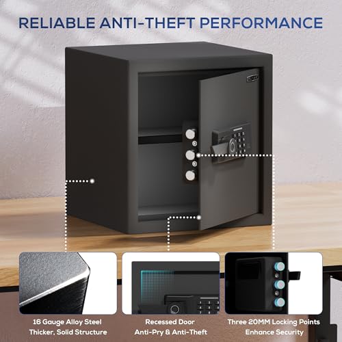 Biometric authentication system