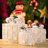 Chenyu Lighted Gift Boxes,Set of 3 White Present Boxes with Pre-lit 48Led Mini Bulb, Box Decor for Under Xmas Tree Decorations Yard Lawn (Warm White-C)