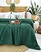 LAYNENBURG Premium Frottee Decke 150x200 cm - 100% Baumwolle - Dünne & Leichte Sommerdecke - Baumwolldecke als Sofa- & Bettdecke - Frottierdecke & Kühlende (Dunkelgrün)