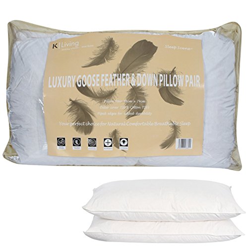 Viceroybedding - Coppia di Cuscini con Imbottitura...