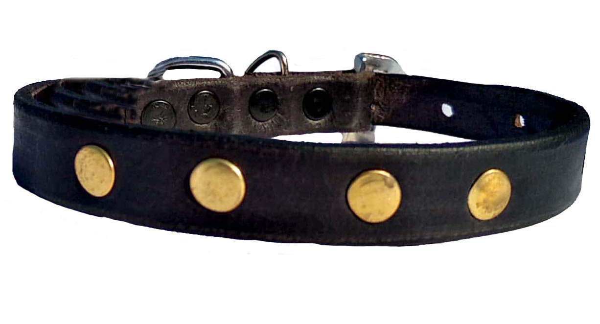 Petlia Dog Belts for Neck Leather (B08DL6BDBT) Amazon Price History, Amazon Price Tracker