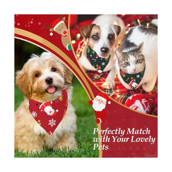 Bandanas de Noël pour chien – Lot de 2 écharpes rouges et vertes festives 51+lr9JA1SL. SS600