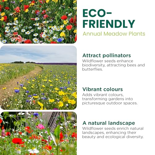 GardenersDream - 100% Wildflowers Seeds Mix - Meadow Flower Seed Mix with Premium Bee Friendly Wild Flowers Seeds for UK Climate - 20+ Varieties Attract Bees & Butterflies (5g) - Covers Up to 2.5M2