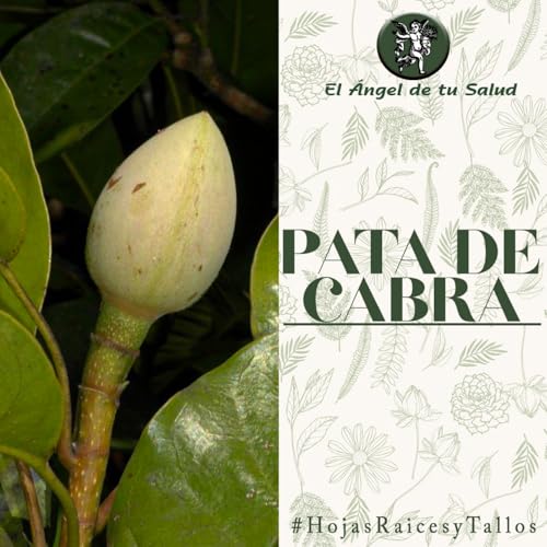 『El Ángel de tu Salud - Pata de Cabra**』のカバーアート