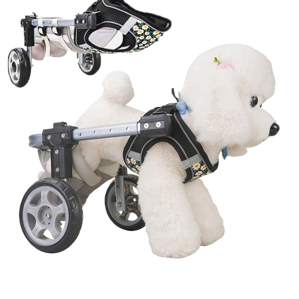 LISTaRSw 2-Wheeled Dog Wheelchair, Adjustable Dog Wheelchair, Back Legs Mobility, For Injured Small & Medium Dogs & Cats, Disabled Hind Legs Walking Stable Dog Black-XS
