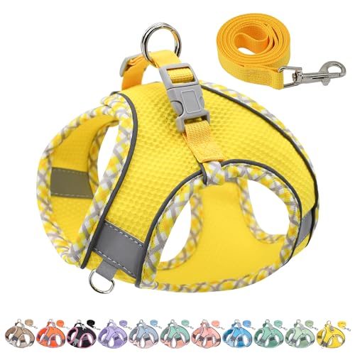 AIITLE Ensemble Harnais et Laisse pour Chien pour la Promenade, Harnais pour Chiot, Bandes réfléchissantes, pour très Petits Chiens et Chats domestiques...