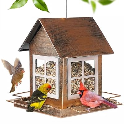 IWNTWY Bird Feeders, Heavy Duty Metal Bird Feeder for Outdoors Hanging, Weatherproof Large Capacity Wild Birdfeeder for Outside Garden Yard, Country House Shape