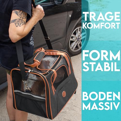 HUND IST KÖNIG Hundetasche & Katzentasche bis 8kg - Hochwertige Hundetragetasche - Transporttasche für Katzen - Faltbare Mobile Tragebox für Hunde & Katzen