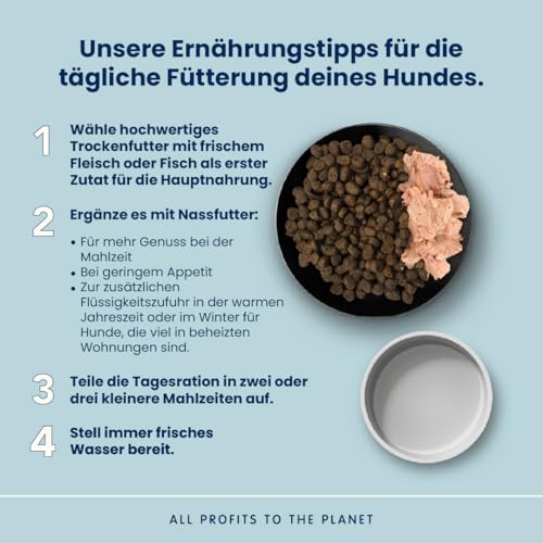 Almo Nature Life Maintenance Trockenfutter für Hunde XS-S mit Huhn 2 kg – Alleinfuttermittel für ausgewachsene Hunde Kleiner und sehr Kleiner Rassen
