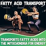 XPRS Nutra L Carnitine L Tartrate Powder - Premium Pure L Carnitine Tartrate - L-Carnitine Powder - Vegan Friendly Bulk L Carnitine - Amino Acid Supplement (16 Ounce) - Image 3