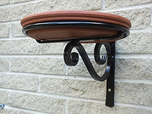 Wrought Iron Bird Bath or Feeder Wall Mounted with Terracotta Saucer 25cm