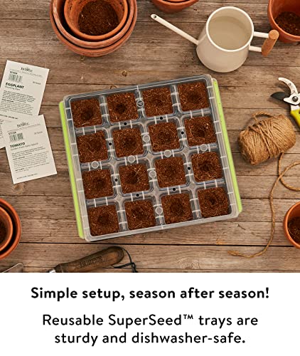 Seed Starter Tray Kit