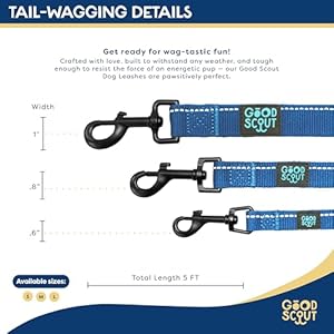Good Scout 5′ Heavy Duty Bungee Leash for Small Dogs, Durable Walking & Training Leash for Puppies & Adult Dogs, D-Ring for Waste Bag Storage, Blue