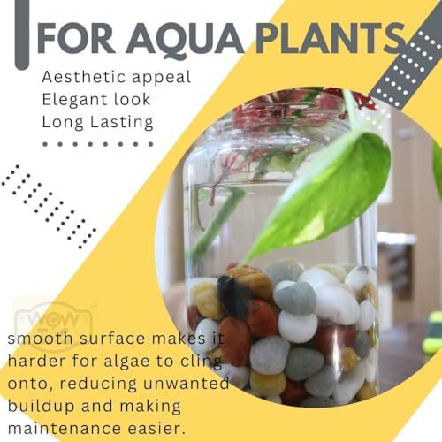 Image of Natural pebbles Polished Small, Mix Color - 975 Grams, Smooth and Round Stones, aquarium, decorative stones, Pebbles for plants pot, Garden art