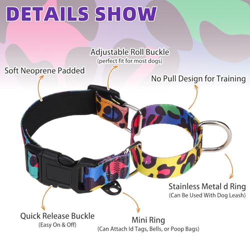 Image of Martingale Collar for Dogs for Small Medium Large Dogs, Soft Padded Nylon No Pull Dog Collar with Buckle, Adjustable No Slip Heavy Duty Durable Puppy Training Collar for Boys Girls, M