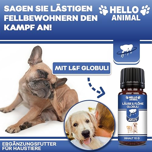 NEU: HelloAnimal® LÄUSE & FLÖHE Kügelchen für Hunde - für Ihr Haustier mit SOFORTWIRKUNG