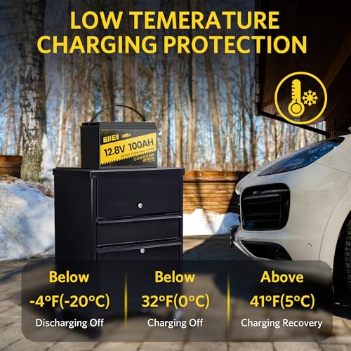 12V 100Ah LiFePO4 Deep Cycle Battery