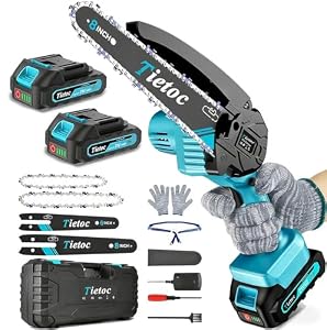 Mini Chainsaw Cordless, 8 Inch & 6 Inch Portable Electric Chainsaw, Battery Powered Handheld Power Chain Saw with 2 Batteries and Auto Oil, Gifts for Father, Dad, Husband, Men