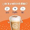 Big Train Pumpkin Pie Chai Tea Single Bag 3.5lb #3