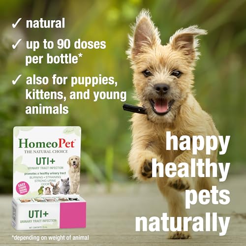 Image of HomeoPet UTI+ Urinary Tract Supplement for Dogs and Cats, 15 Milliliters