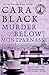Murder Below Montparnasse (An Aimee Leduc Investigation Book 13)