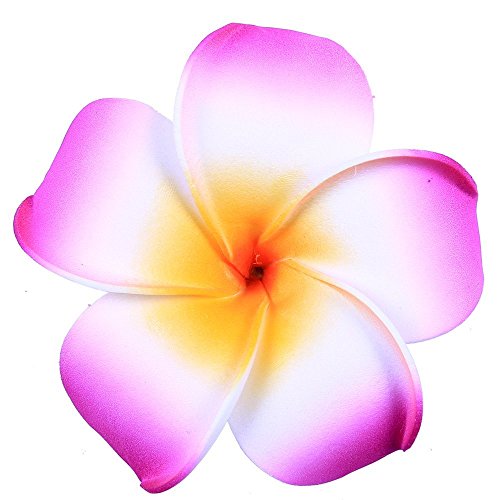 Anleolife Rose Hair Barrette Pretty Hawaiian Plumeria Flower Foam Red Flower Hair Clip 6pcs/lot (big hot pink)