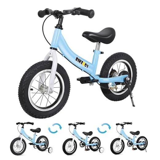 bikeboy Balance Bike 3 in 1,The Dual Use of a Kids Balance Bike and Toddler Bike, for 2 3 4 5 6 7 Years Old -12 14 16 Inches with Training Theory, Brake, Pedal