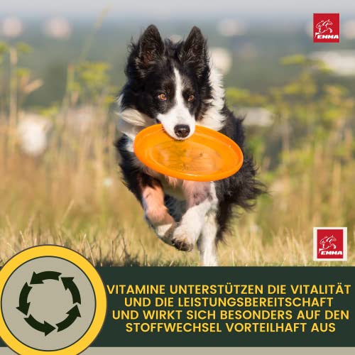 Multi Vitamin B Komplex Hund 100 ml – Hochdosierte Vitamine für Hunde mit Vitamin A D3 E B1 B2 B6 B12 C Folsäure Zink Selen – Vitalität für Welpen & Senior – Immunsystem stärken Hund Vitamin Liquid