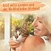 Ida Plus - 100% Grünlippmuschelpulver für Katzen - 100 g - Grünlippmuschel zur Unterstützung der Gelenkfunktion - Vollfettqualität - ohne Zusätze - mit Glykosaminoglykanen, Omega 3, Calcium, Magnesium
