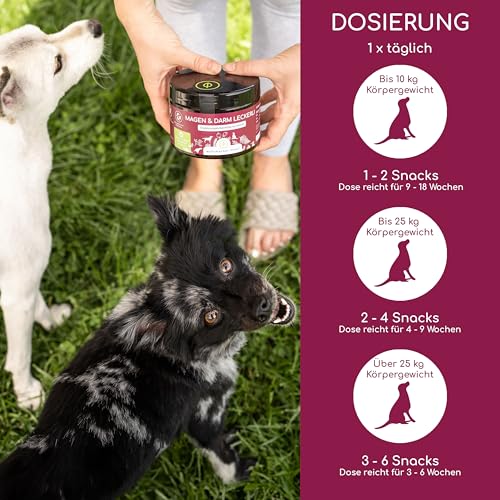 Wolfsbacher Verdauungs-Snack für Hunde - 125 Leckerlis mit präbiotischer Hefe & Kräutern | 100% natürlich | Unterstützt Darmflora & normalen KOT | 125 sanfte Hundesnacks