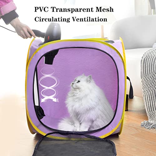 Caixa de secagem para cães e gatos, portátil, dobrável, gaiola de secagem para cães pequenos, médios