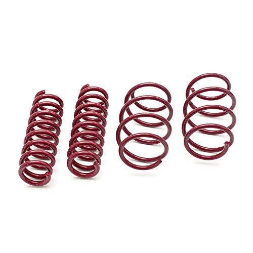 Vogtland 956036 – Muelles de suspensión para