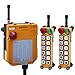 Hoist Crane Wireless Remote Control 12 Single Push AC/DC65V-440V(2 Transmitter + 1 Receiver)