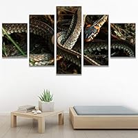 SIGNWIN 5 Panel Canvas Wall Art Modern Art Chic Expressive Frog Multicolor Photography Reptiles Snakes for Home Decorations Ready to Hang - 60