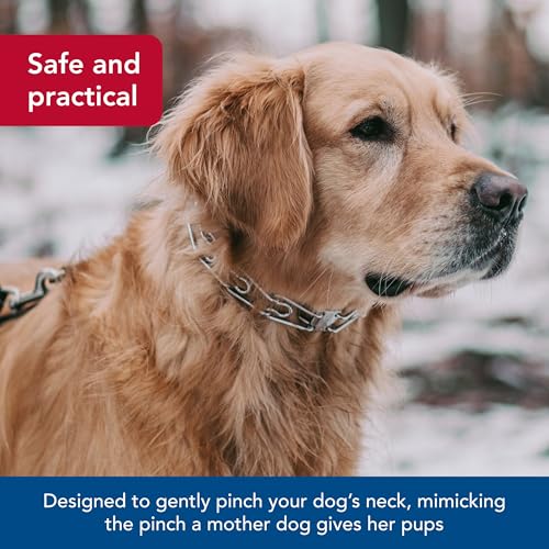 Herm SPRENGER Ultra-Plus Prong Dog Training Collar, 3.0 mm x 18" Neck Size, 3.0 mm x 22" Chain Length, Steel Chrome Plated Dog Prong Collar, Pinch Collar for Dogs, Dog Correction Collar by Herm Sprenger - Image 3