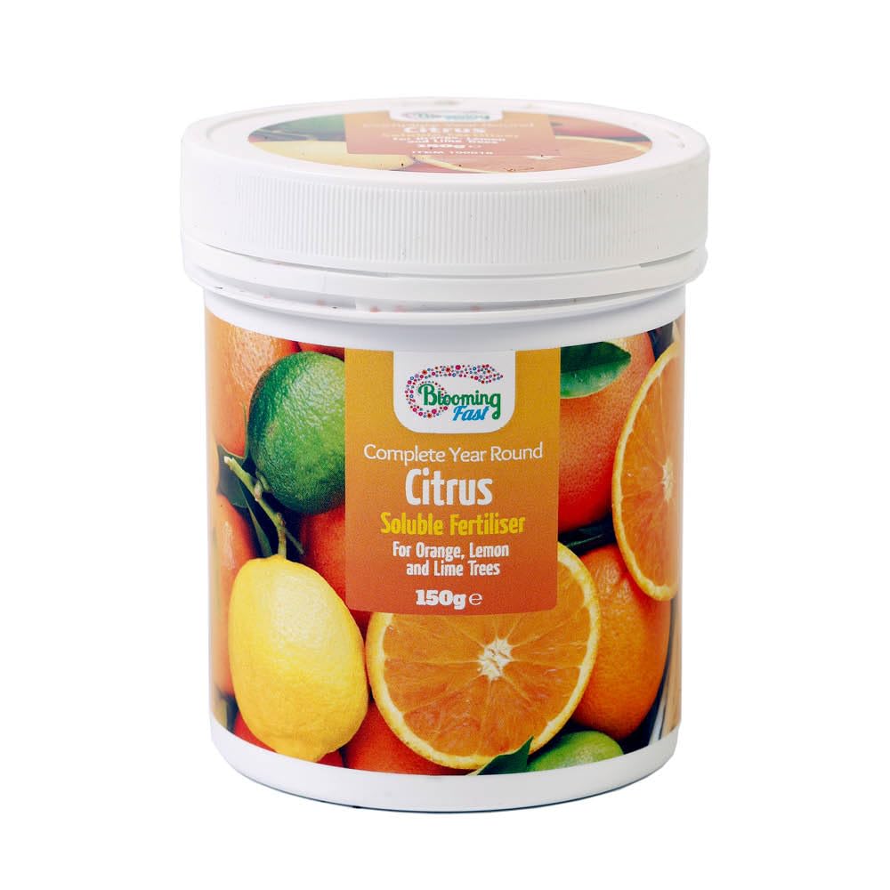 YouGarden Blooming Fast Citrus Feed Soluble 150g Tub, Citrus Plant Food for Orange Trees, Lemon Trees, Lime Trees and Exotic Fruit Trees Perfect for Gardeners
