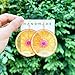 LETIMEFORU Handmade Pink Daisy Flower Real Orange Earrings, Pressed Orange SIice Natural Earrings, Dried Fruit Resin Flower Jewelry, Birthday Gift (Gold Hooks)