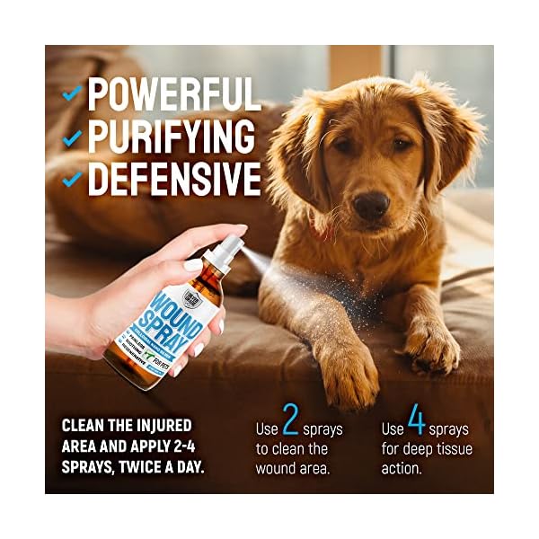 Wound-Spray-for-Pets–Colloidal-Silver-Wound-and-Skin-Care-for-Dogs-Cats–Helps-with-Rashes-Hot-Spots-Itch-Scratching-Skin-Irritation-Bites-Burns–Safe-if-Licked-4-Oz-Wound-Spray Wound-Spray-for-Pets–Colloidal-Silver-Wound-and-Skin-Care-for-Dogs-Cats–Helps-with-Rashes-Hot-Spots-Itch-Scratching-Skin-Irritation-Bites-Burns–Safe-if-Licked-4-Oz-Wound-Spray